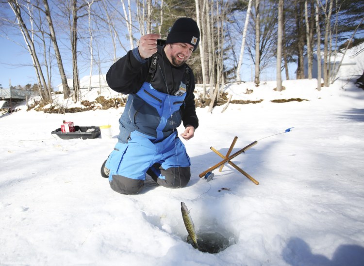 Brian Rocray of Shapleigh pulls up a pickerel while fishing in a channel off Jordan Bay on Sunday in the Sebago Lake Rotary Ice Fishing Derby. "We are keeping them to turn them in for the soup kitchen," he said. In past years, the Preble Street Soup Kitchen has turned the catch into enough chowder for 1,000 servings.