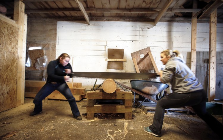 Unity College students McKayla Fowler, left, and Tracy Cook practice cross cutting for the Unity Woodsmen team after classes. Fowler also competes with the Axe Women Loggers of Maine – the largest group of women loggers in North America. They travel to perform and compete in logging activities.