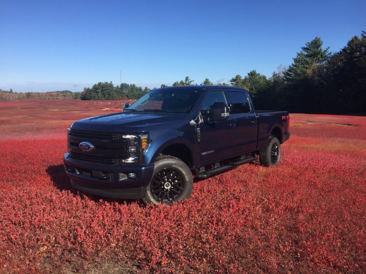 While Ford's F-Series is the top-selling nameplate of 2020, no other Fords entered the top ten.