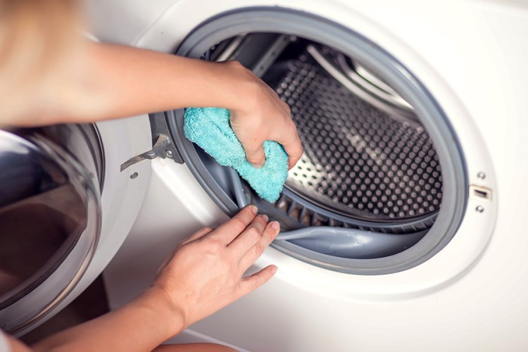 Front-load washing machines are more prone to bad smells from mold and mildew. An essential step is to clean the door gasket with vinegar or bleach.