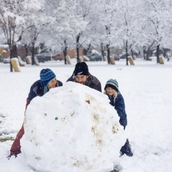 Wintry Weather Idaho