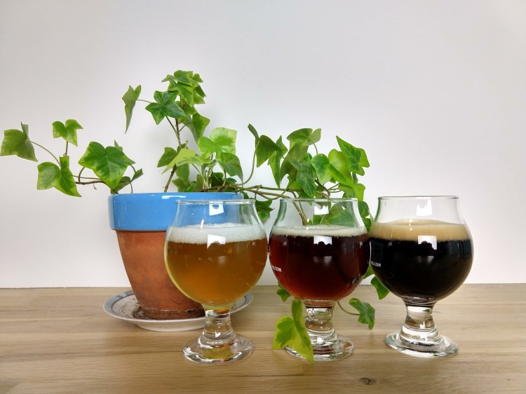 L to R, Sacred Profane Light Lager, Tributary Polotmavý, and Sacred Profane Dark Lager.